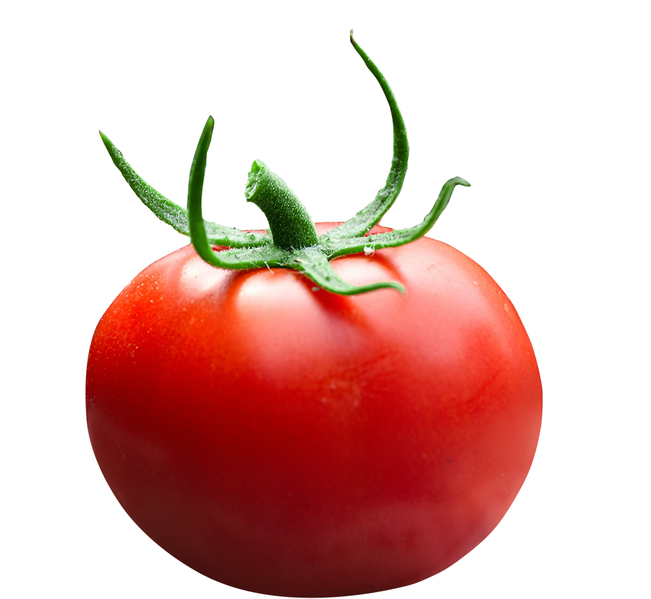 Fresh tomato image, Fresh tomato png, Fresh tomato png image, Fresh tomato transparent png image, Fresh tomato png full hd